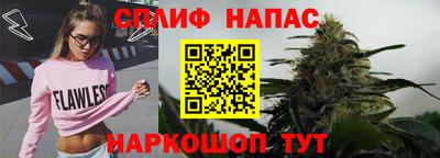 МДПВ Новокубанск