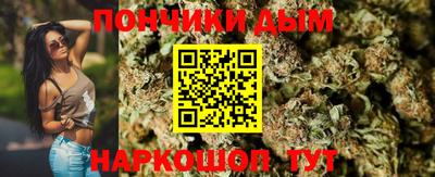 spice Обнинск
