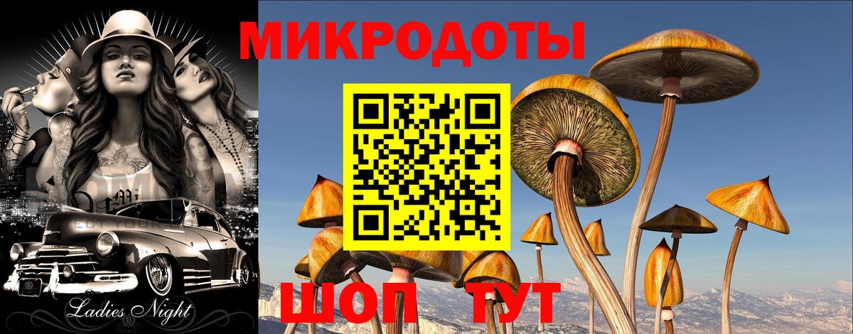 Псилоцибиновые грибы Psilocybe  Вход с VPN  Трёхгорный 