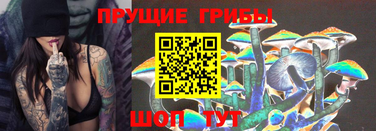 Псилоцибиновые грибы мицелий Трёхгорный