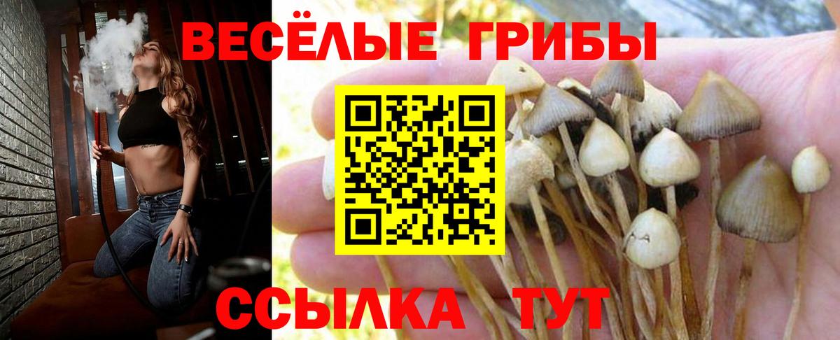 Трёхгорный  Гашиш  Кокаин  Меф МЯУ МЯУ   ЭКСТАЗИ  Вход с VPN  Бошки Шишки 
